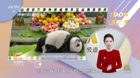 维修工人的绝遇中文字